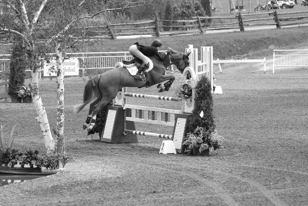 Bromont Canada July Unknown Rider Horse 2011 International Bromont July — стокове фото