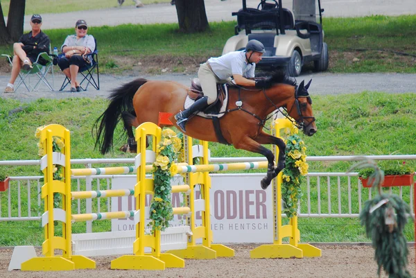 Bromont Canada July Unknown Rider Horse 2011 International Bromont July — ストック写真