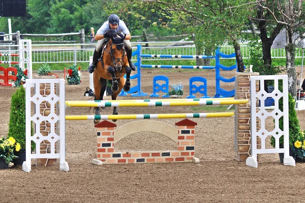 Bromont Canada July Unknown Rider Horse 2011 International Bromont July — Photo