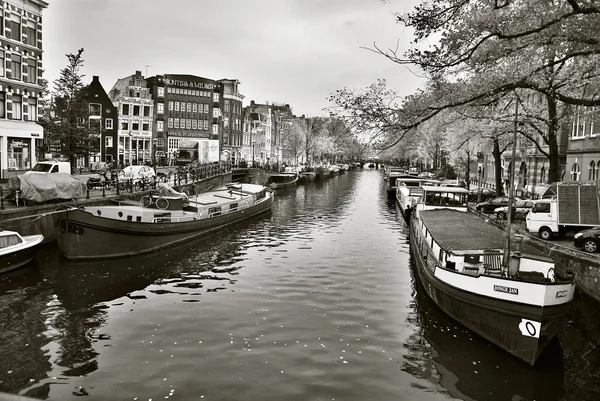 Linda Canal Cidade Amsterdã — Fotografia de Stock