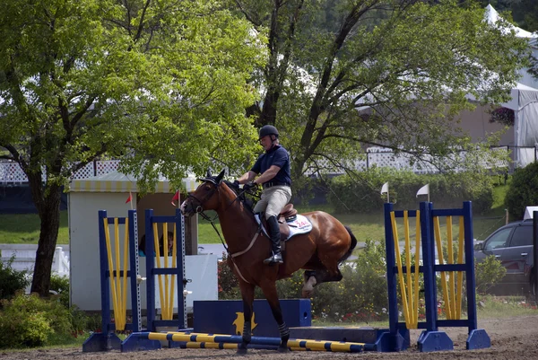 Bromont Canada July Unknown Rider Horse 2011 International Bromont July — Stockfoto