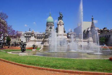 Kongre Plazası, Buenos Aires Arjantin 'de Arjantin Kongresi' ne bakan bir parktır. Plaza, Kongre binasının doğusunda 3 bitişik plazadan oluşan açık bir alandır.