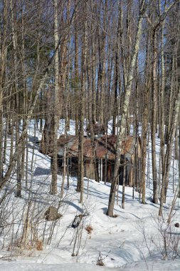 Kış manzarası, Bromont, Shefford, Quebec, Kanada