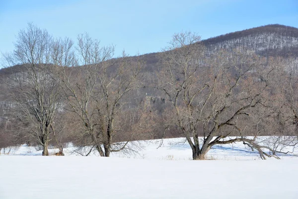 Paisaje Invernal Bromont Shefford Quebec Canadá — Foto de Stock