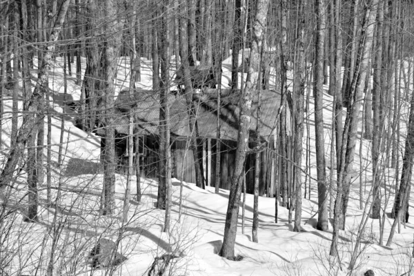 Paisaje Invernal Bromont Shefford Quebec Canadá — Foto de Stock