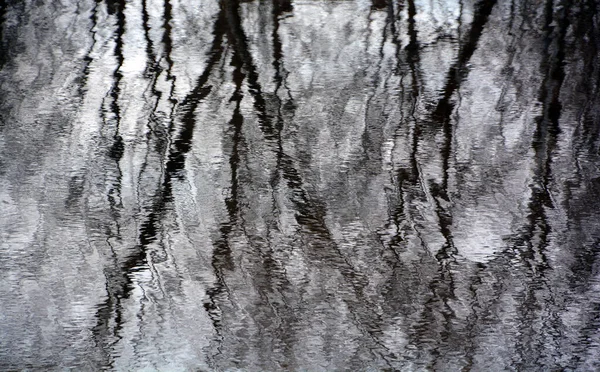 Verschwommene Reflexion Von Bäumen Seewasser Einem Trüben Frühlingstag — Stockfoto