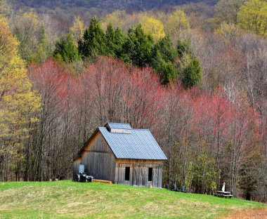 BROMONT QUEBEC CANADA - 04 19 2021: İlkbahar mevsiminde Doğu Kasabaları çok sayıda şeker çalılığına sahiptir, bu yüzden bu kadar çok şeker kulübesi bulmak şaşırtıcı değildir.