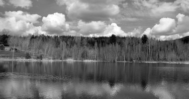 Bromont, Quebec, Kanada 'daki Bahar Ormanı manzarası  