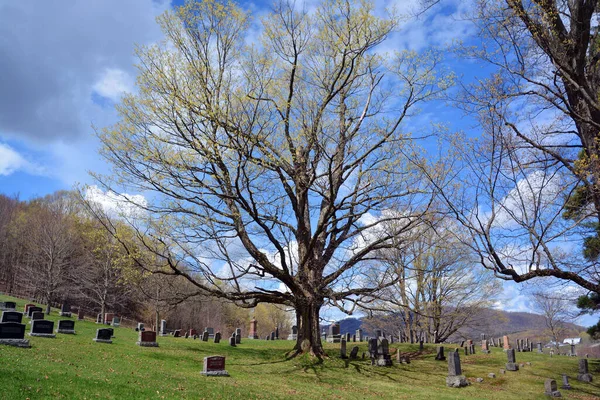 Iron Hill Quebec Canada 2021 Cimitero Della Santissima Trinità Questo — Foto Stock