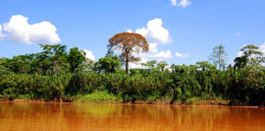 Nehir kıyısındaki güzel manzara