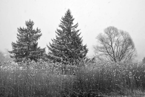 Inverno Atrasado Paisagem Adiantada Mola Bromont Cidade Oriental Quebec Canadá — Fotografia de Stock