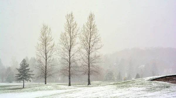 Fine Inverno Paesaggio Primaverile Bromont Québec Canada — Foto Stock