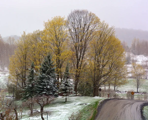 Fine Inverno Paesaggio Primaverile Bromont Québec Canada — Foto Stock