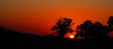 Kruger Park 'taki günbatımı Afrika' daki en büyük oyun rezervlerinden biridir.. 
