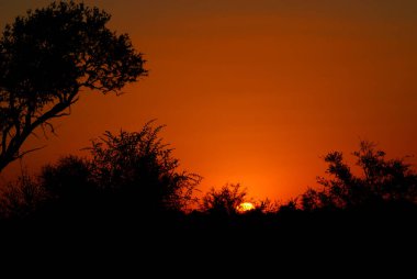 Kruger Park 'taki günbatımı Afrika' daki en büyük oyun rezervlerinden biridir.. 