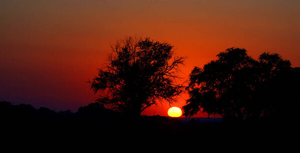 Sunset at Kruger park South Africa is one of the largest game reserves in Africa.