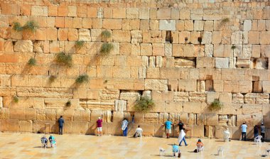 JERUSALEM ISRAEL - 26 10 16: Yahudi hasidik duası Batı Duvarında, Ağlama Duvarı Ağlama Yeri eski Kudüs şehrinde antik bir kireçtaşı duvardır. Büyük Herod 'dan İkinci Yahudi Tapınağı 