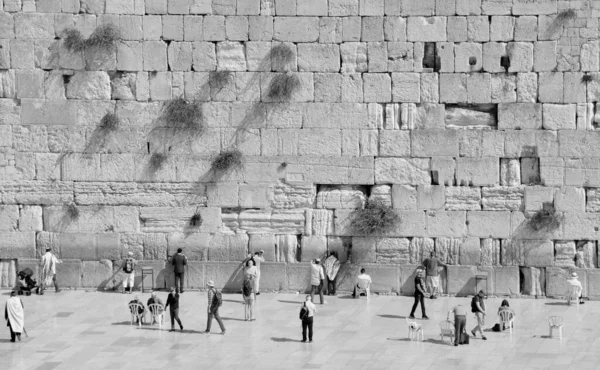 Jerusalem Israel Jewish Hasidic Pray Western Wall Wailing Wall Place — Stock Photo, Image