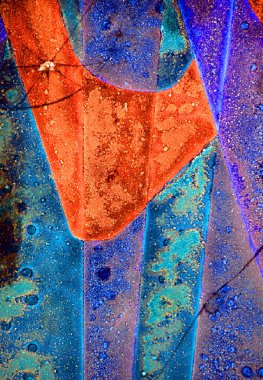 Parlak cam, modern şekilli, renkli cam pencere.