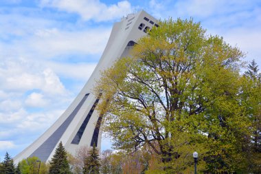 Montreal botanik bahçesi, arka planda dünyanın en önemli botanik bahçelerinden biri olarak kabul edilir.