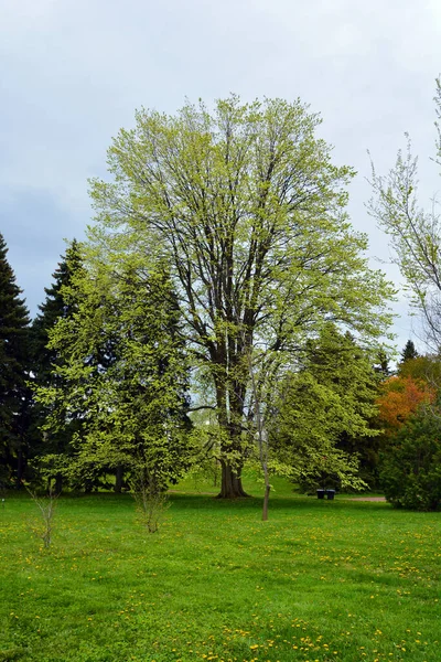 Spring landscape in Montreal, Quebec province, Canada