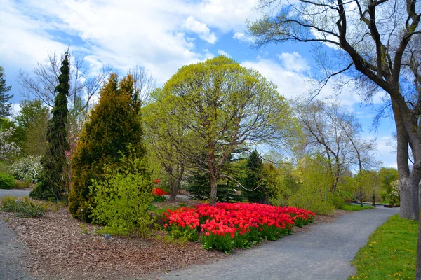 Spring Landscape Montreal Quebec Province Canada — Stock Photo, Image