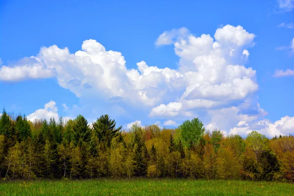 Spring landscape in Montreal, Quebec province, Canada