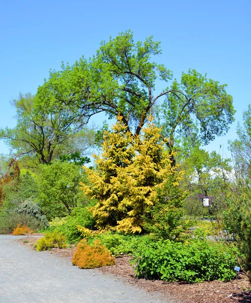 Spring Landscape Montreal Quebec Province Canada — Stock Photo, Image