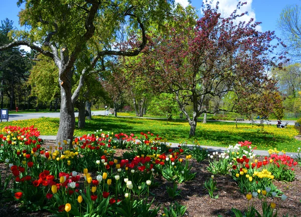 Spring landscape in Quebec province, Canada