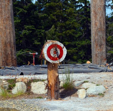 VANCOUVER BC CANADA - 27 Haziran 2015: Grouse Dağı Odunculuk gösterisinde Axe fırlatma becerilerini Grouse Dağı 'nın tepesinde sergileyen şampiyon bir gösteri ekibi.