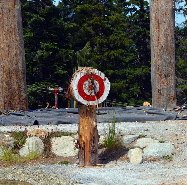 Vancouver Canada 2015年6月27日 Grouse Mountain Lumberjackでの斧投げデモンストレーションでは Grouse Mountainの上でスキルを披露するチャンピオンパフォーマーのクルーが紹介されます — ストック写真