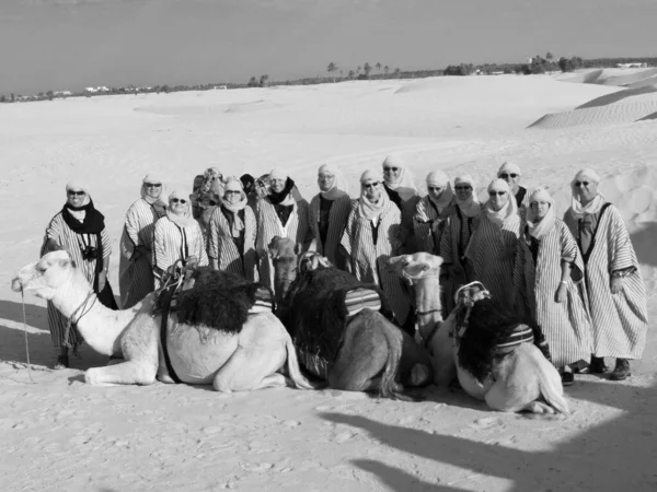 Douz Sahara Desert Října Turisté Jezdí Velbloudech Vedených Místními Lidmi — Stock fotografie