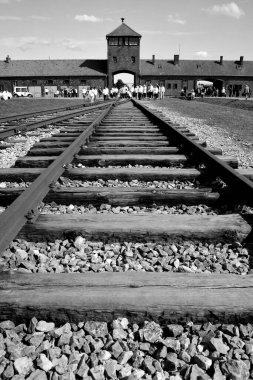 AUSCHWitz BIRKENAU POLAND - 09: 17: Genç Irsareli, eski Alman Nazi ölüm kampı Auschwitz 'i ziyaret etti..