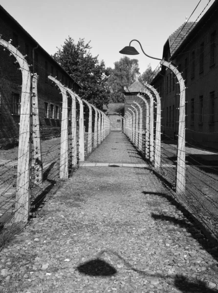 Auschwitz Birkenau Poland Elektrické Ostnaté Dráty Německého Nacistického Koncentračního Vyhlazovacího — Stock fotografie