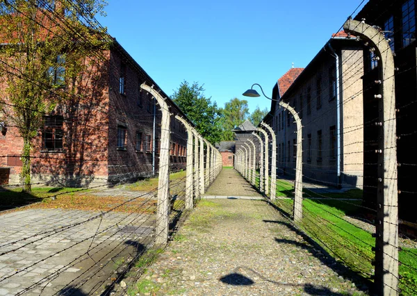 Auschwitz Birkenau Polonia Alambres Púas Eléctricas Del Campo Concentración Exterminio —  Fotos de Stock