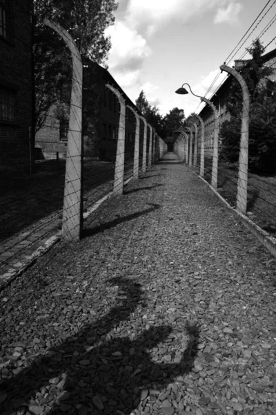 Auschwitz Birkenau Poland Electric Barbed Wires German Nazi Concentration Extermination — 图库照片