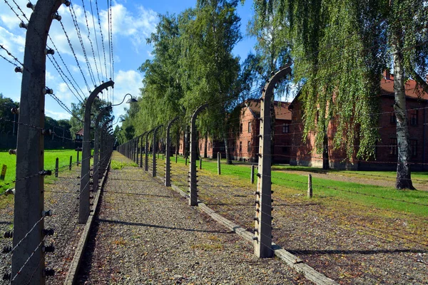 Auschwitz Birkenau Πολωνια Ηλεκτρικά Συρματοπλέγματα Της Γερμανικής Ναζιστικής Συγκέντρωσης Και — Φωτογραφία Αρχείου