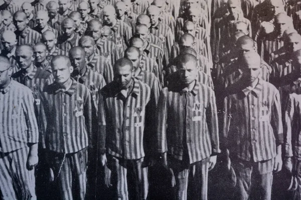 Polonya 'daki Auschwitz Müzesi' nde geçmişe dönük tarihi fotoğraf