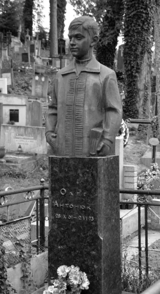 Lviv Ukraine Cimetière Lychakiv Officiellement Musée Histoire Culture Etat Préserver — Photo