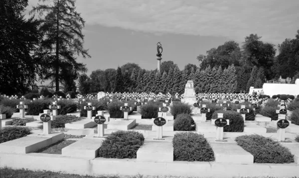 Lviv Ukraine Lytschakiw Friedhof Offiziell Staatliches Geschichts Und Kulturmuseum Bewahrung — Stockfoto