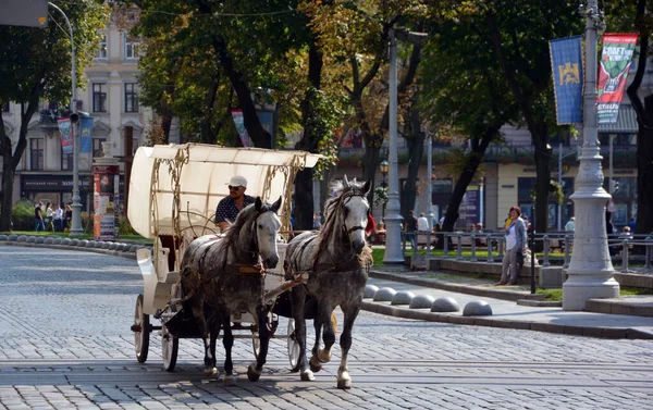 Lviv Ukraine Touristenkutsche Wartet Auf Den Straßen Historischen Stadtzentrum Auf — Stockfoto