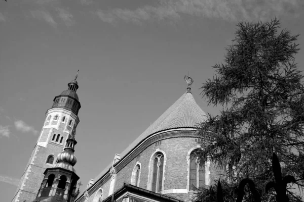 Krakow Pologne Kaplica Akademicka Jezuitow Cracovie Basilique Sacré Cœur Jésus — Photo