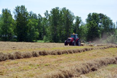 BROMONT QUEBEC CANADA - 07 12 2021: Tedder saman hasında saman yapımında kullanılan bir makinedir