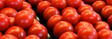 Montreal, Quebec, Kanada 'daki çiftçi pazarında kırmızı taze çiğ domates