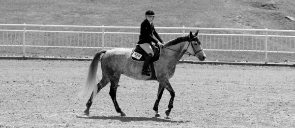 Bromont Canada Luglio 2021 Cavaliere Sconosciuto Cavallo Parco Olimpico Montreal — Foto Stock