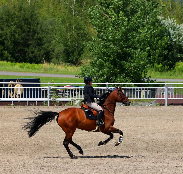 Bromont Canada Juli 2021 Onbekende Ruiter Paard Het Olympisch Park — Stockfoto