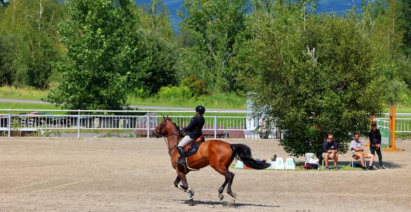 Bromont Canadá Julio 2021 Jinete Desconocido Caballo Parque Olímpico Ecuestre —  Fotos de Stock