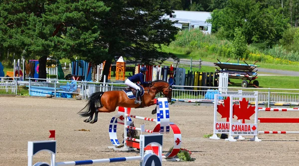 Bromont Kanada Juli 2021 Okänd Ryttare Häst Vid Olympiska Parken — Stockfoto