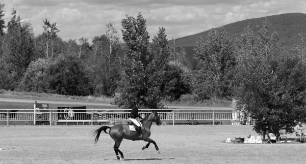 Bromont Kanada Lipca 2021 Nieznany Jeździec Koniu Montrealskim Parku Olimpijskim — Zdjęcie stockowe