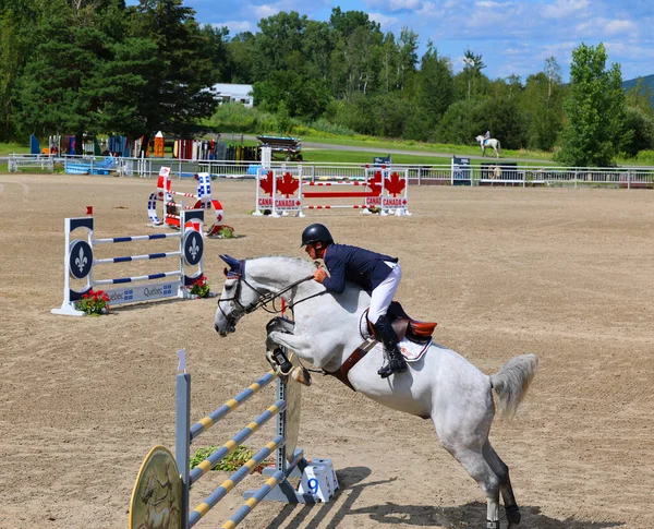 Bromont Kanada Juli 2021 Okänd Ryttare Häst Vid Olympiska Parken — Stockfoto